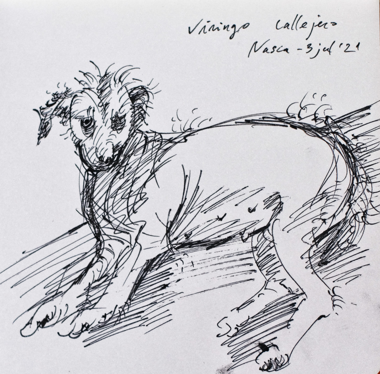Viringo