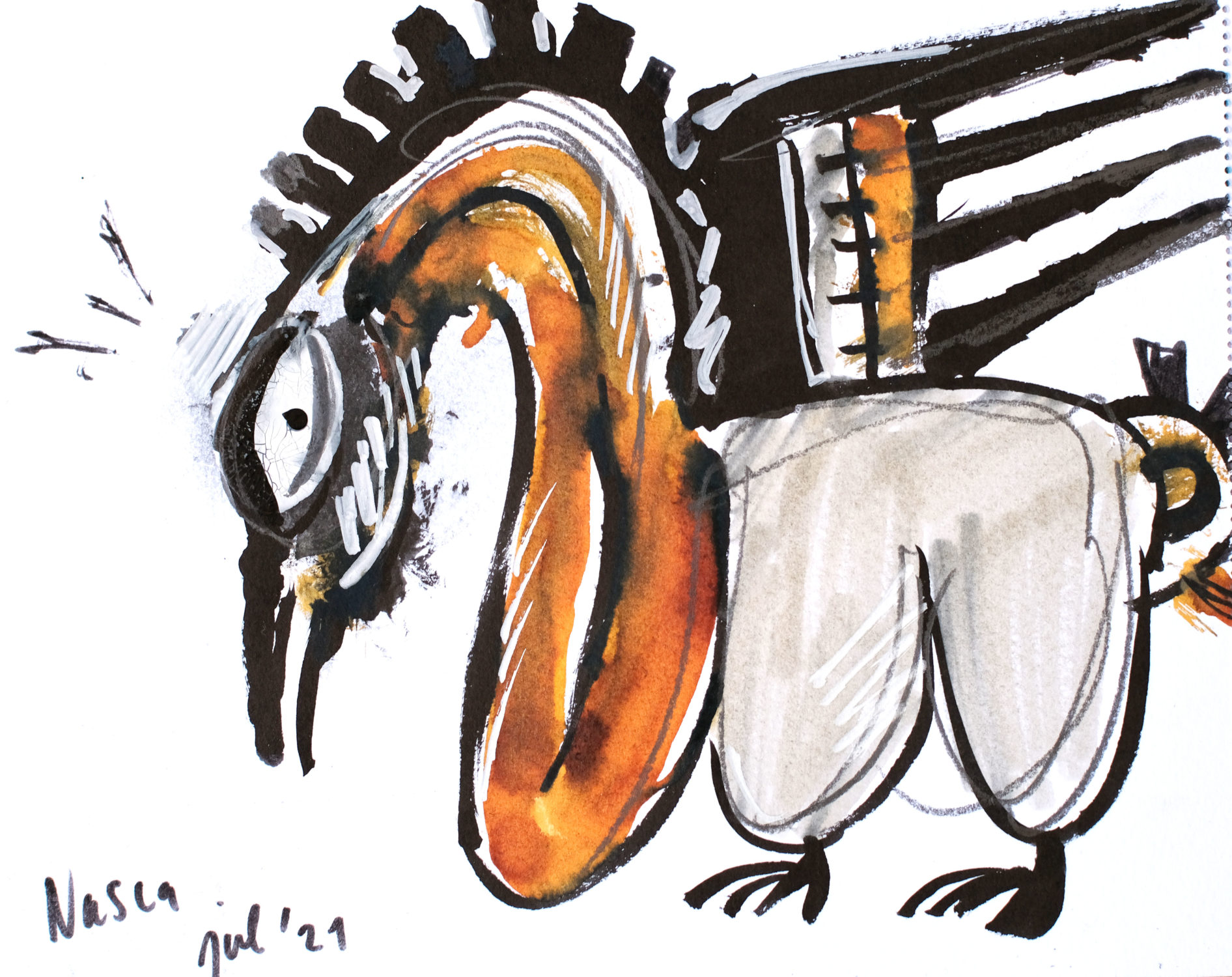 ave nasca