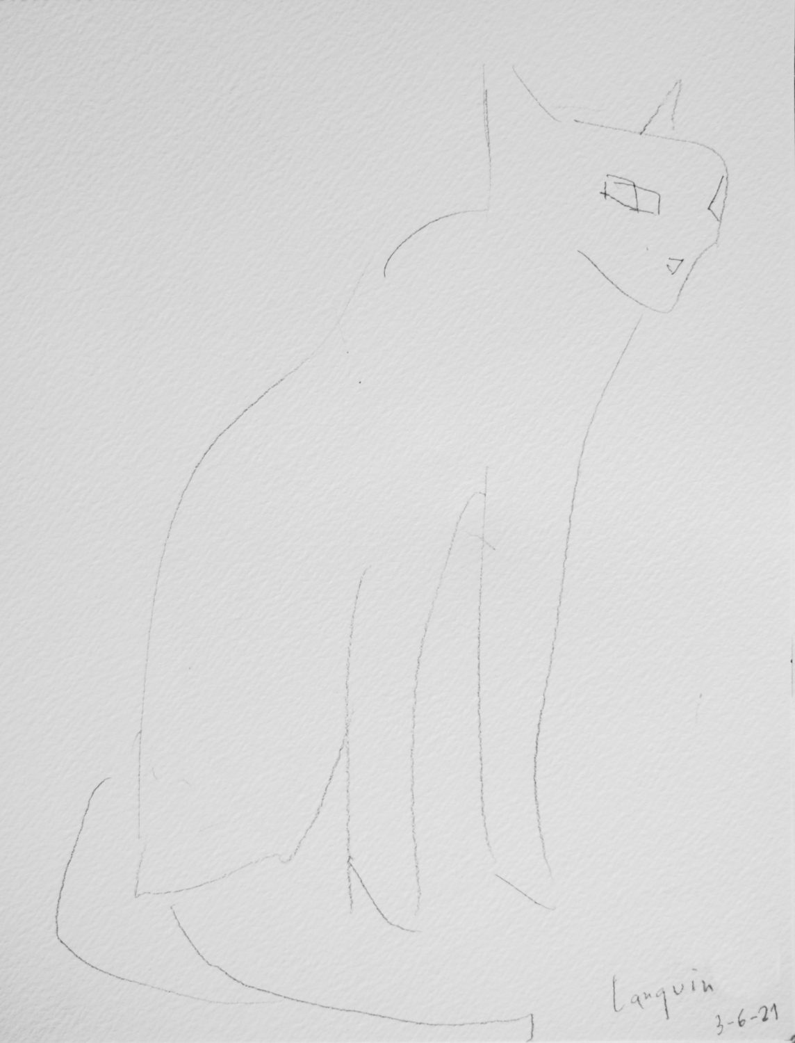 Gato de Lanquín