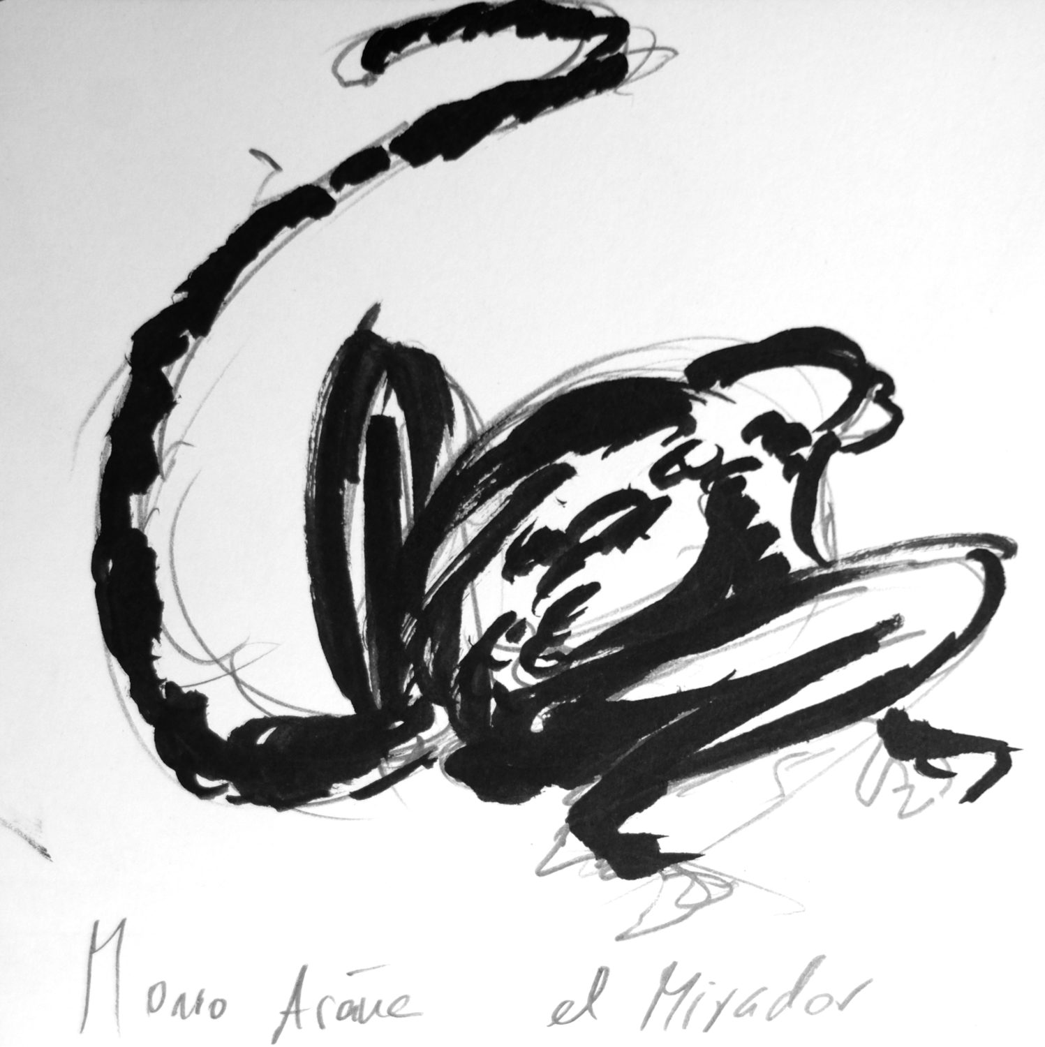 mono araña