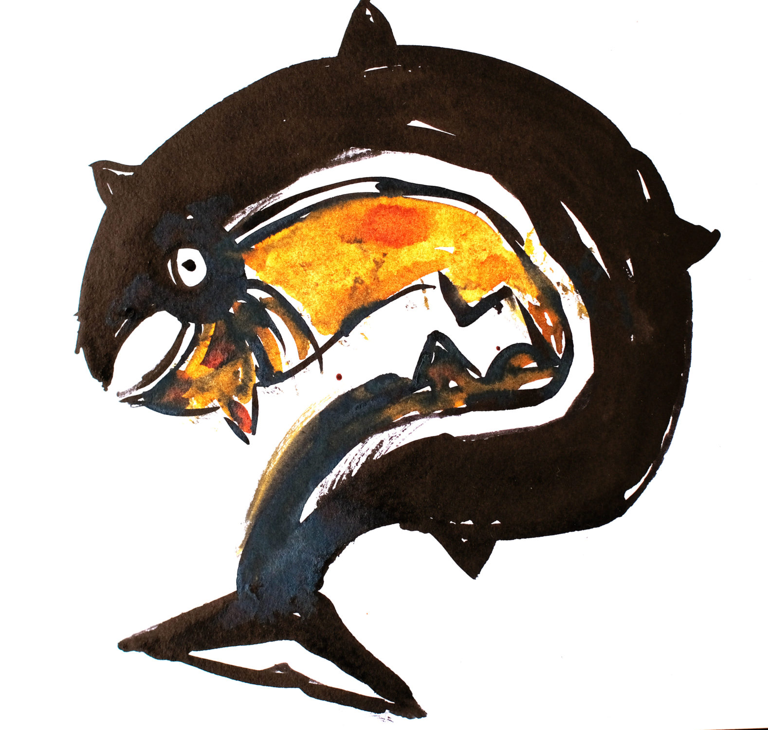 orca nasca
