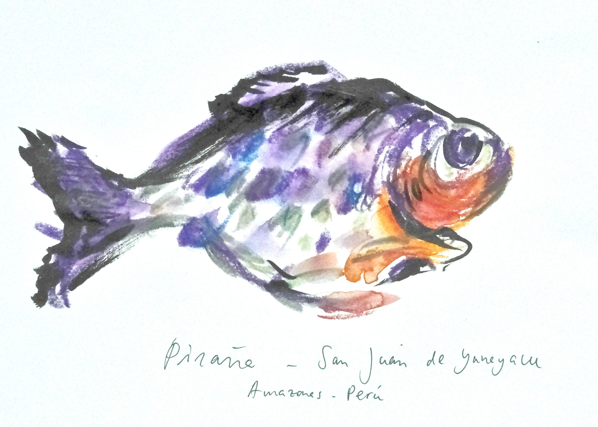 piraña
